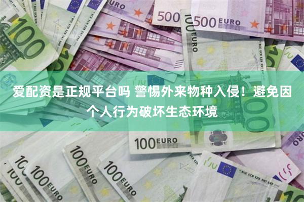 爱配资是正规平台吗 警惕外来物种入侵！避免因个人行为破坏生态环境