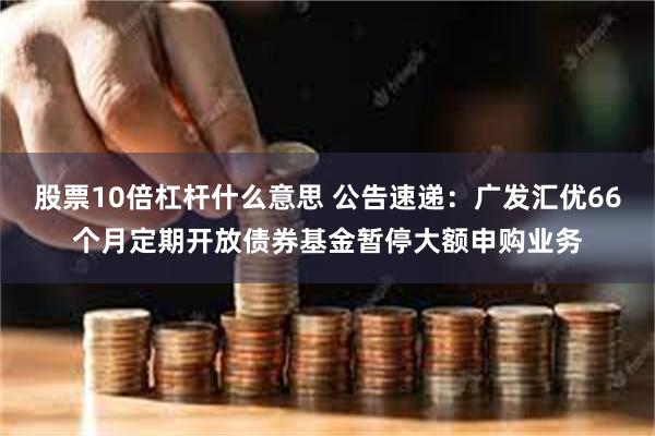 股票10倍杠杆什么意思 公告速递：广发汇优66个月定期开放债券基金暂停大额申购业务